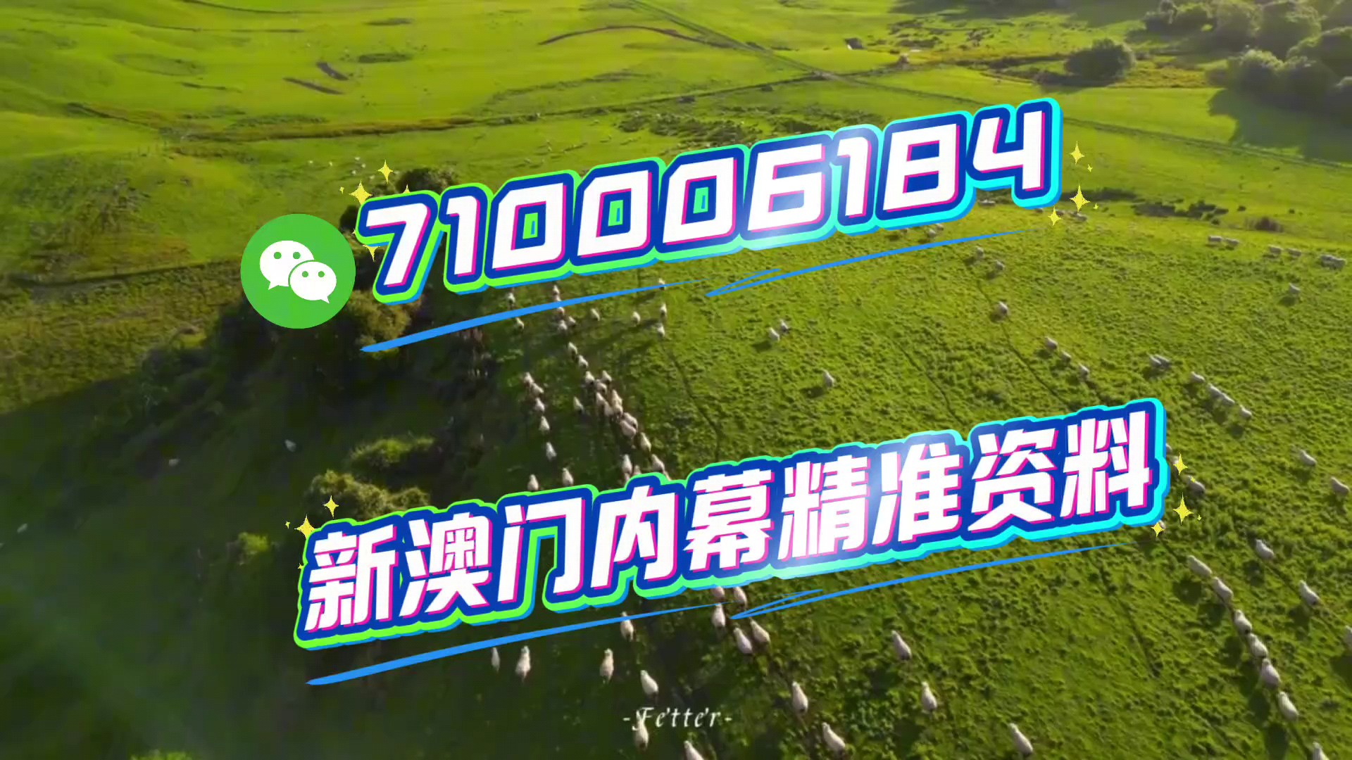 澳門特馬今晚開獎(jiǎng)49，探索彩票背后的故事與未來展望（2025年），澳門特馬今晚開獎(jiǎng)49，彩票背后的故事與未來展望（2025展望）