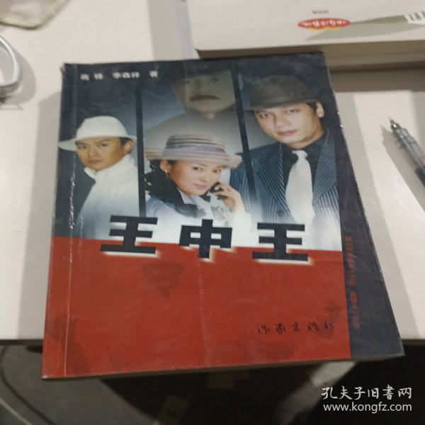 王中王平特一肖圖片，探索與賞析，王中王平特一肖圖片，探索與賞析之旅