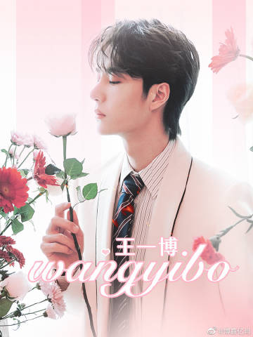 王中王一肖中特論壇公開資料深度解析，王中王一肖中特論壇資料深度解析報(bào)告