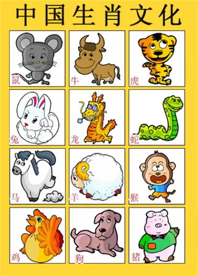一肖有哪些生肖——生肖文化深度解析，生肖文化深度解析，揭秘十二生肖中的一肖奧秘