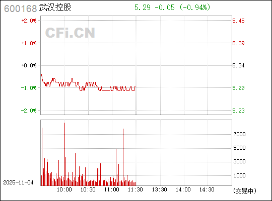 武漢控股股票（股票代碼，600168）深度解析，武漢控股股票（股票代碼600168）全面深度解析