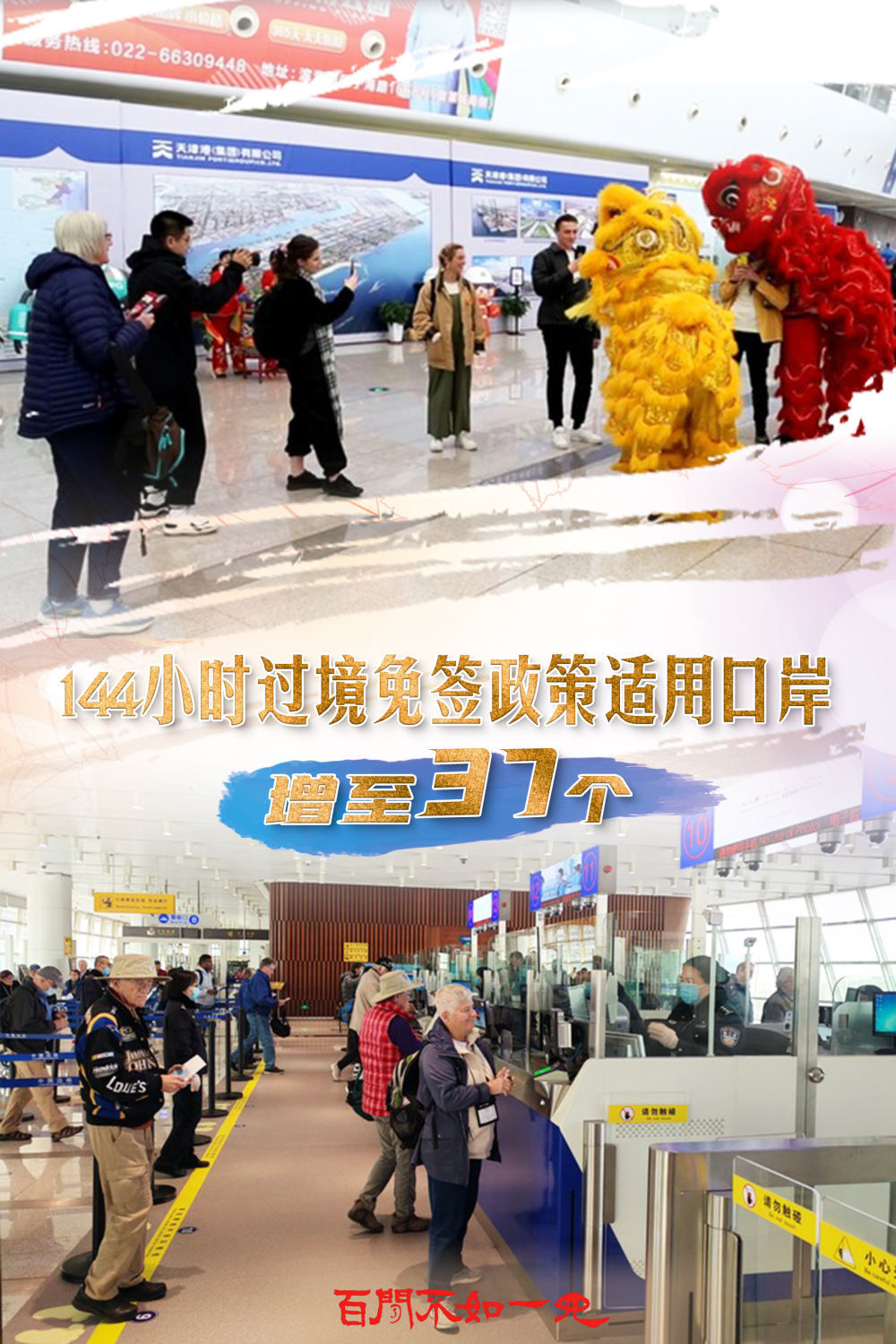 澳門王中王，揭秘一肖一特一中奧秘，澳門王中王揭秘生肖秘密，一肖一特一中奧秘探秘