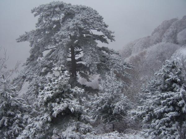 華山二日游最佳攻略方式，華山二日游最佳攻略攻略詳解