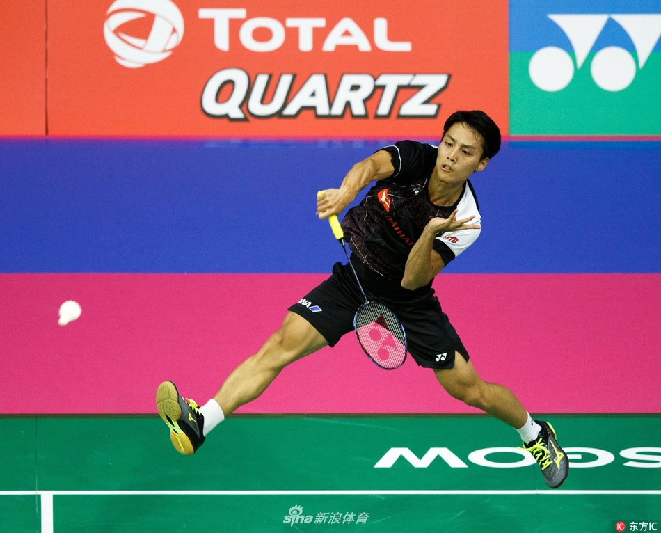 一肖平碼王中王，揭秘背后的秘密與策略，揭秘一肖平碼王中王的秘密與策略