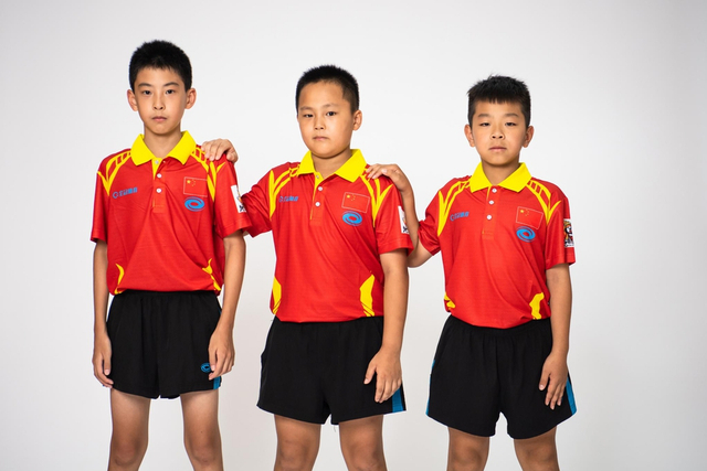 王中王白小姐四肖選一，揭秘背后的秘密與策略，揭秘王中王白小姐四肖選一背后的秘密與策略之道