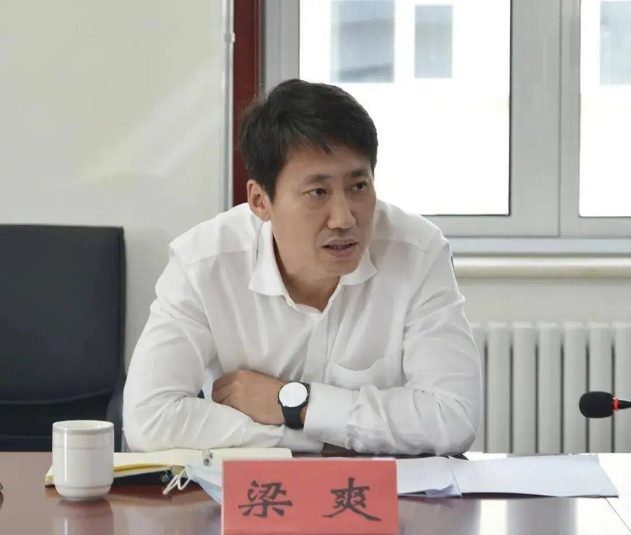 海淀區(qū)副區(qū)長馮燕，領(lǐng)導(dǎo)才能與治理智慧的展現(xiàn)，海淀區(qū)副區(qū)長馮燕，領(lǐng)導(dǎo)力與治理智慧的展現(xiàn)