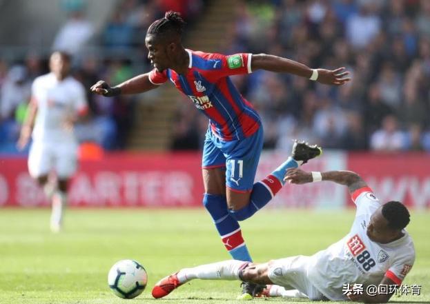 王中王118一肖中特，揭秘精準(zhǔn)預(yù)測的秘密，揭秘王中王118精準(zhǔn)預(yù)測一肖中的秘密