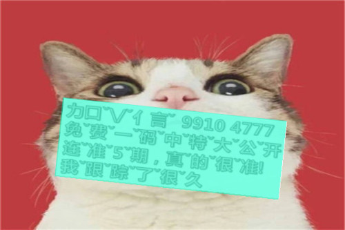 一肖啥意思，深度解析與SEO優(yōu)化文章，一肖含義深度解析與SEO優(yōu)化策略探討