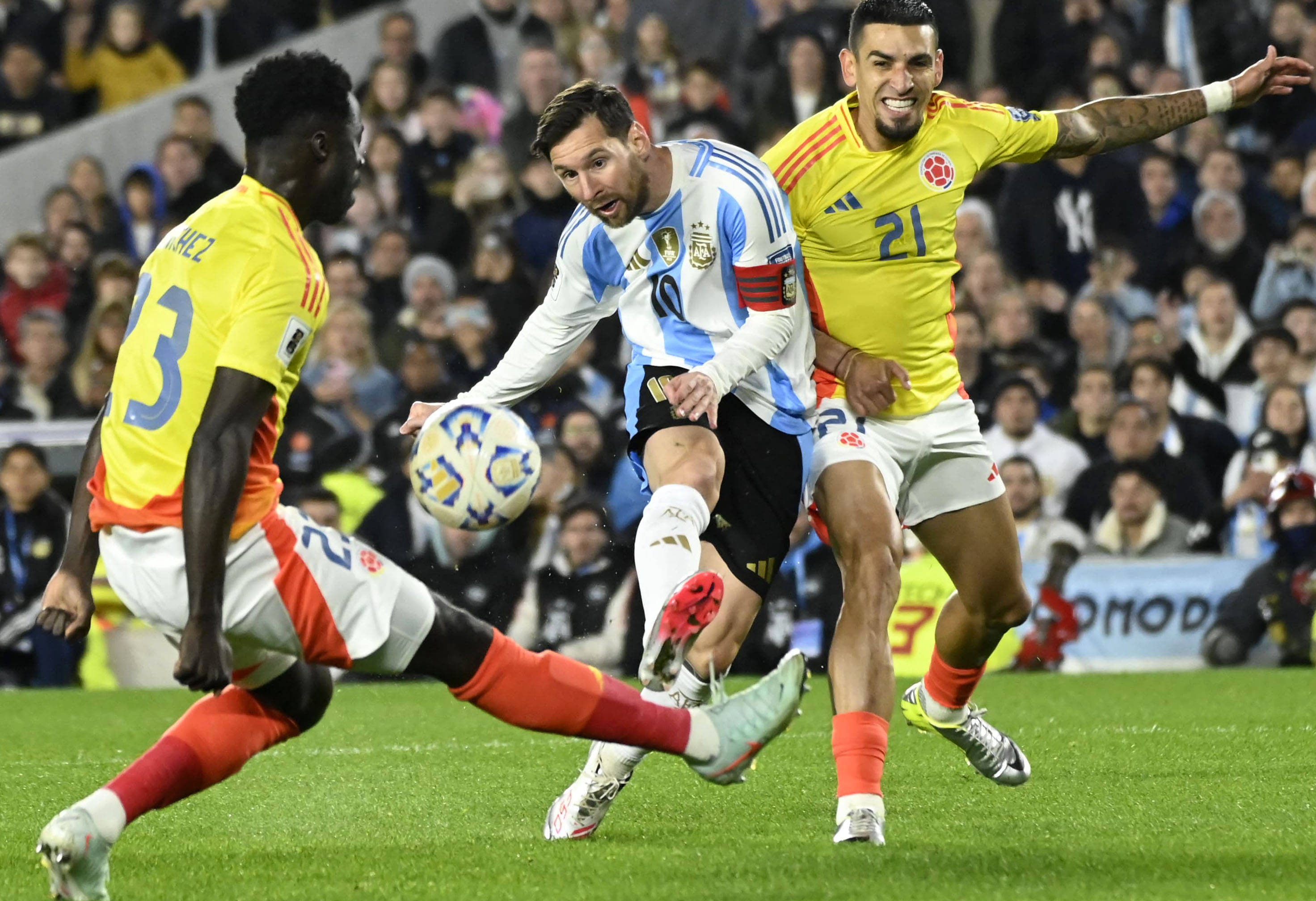 王中王一肖，揭秘碼一特一中的奧秘，揭秘王中王一肖特一中奧秘的真相